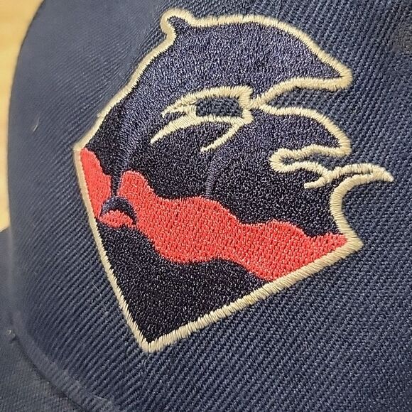 PINK DOLPHIN CLOTHING HAT ONE SIZE MENS BUT WOMEN'S TOO - Picture 2 of 7